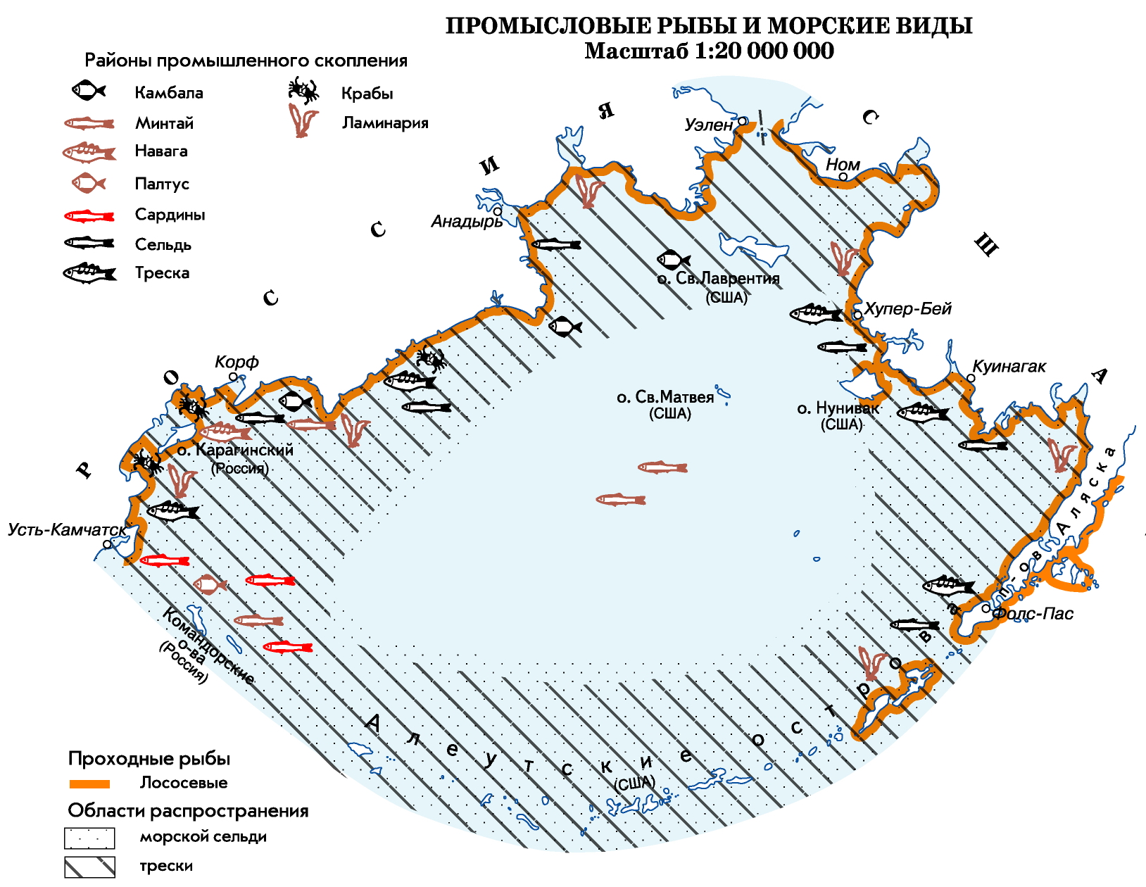 (Bering Sea)